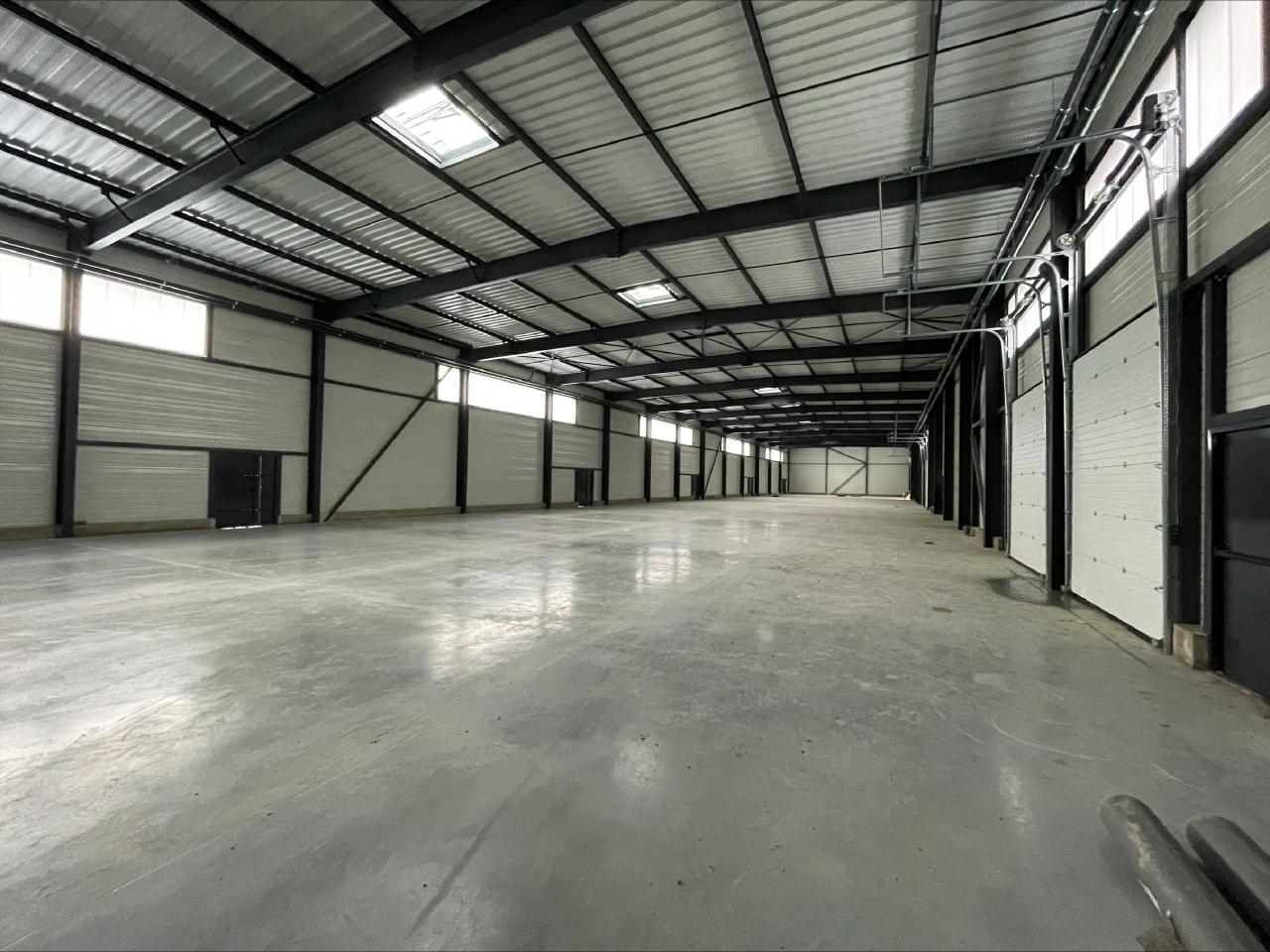 Local d'activité Geispolsheim 2996m² Location local d'activité Geispolsheim Bas-Rhin OLACT2420594 11